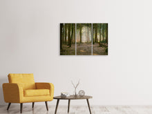 Laden Sie das Bild in den Galerie-Viewer, Leinwandbild 3-teilig Wald Lauf
