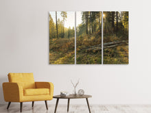 Laden Sie das Bild in den Galerie-Viewer, Leinwandbild 3-teilig Arbeiten im Wald