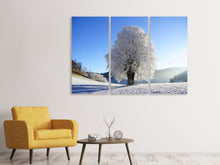 Laden Sie das Bild in den Galerie-Viewer, Leinwandbild 3-teilig Winter Märchen