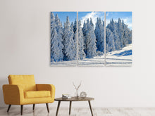 Laden Sie das Bild in den Galerie-Viewer, Leinwandbild 3-teilig Schöne Winterlandschaft