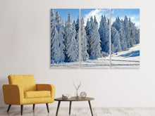 Laden Sie das Bild in den Galerie-Viewer, Leinwandbild 3-teilig Schöne Winterlandschaft