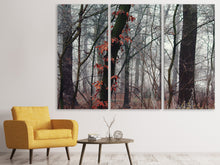 Laden Sie das Bild in den Galerie-Viewer, Leinwandbild 3-teilig Herbst Winter