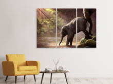 Laden Sie das Bild in den Galerie-Viewer, Leinwandbild 3-teilig Das Elefantenbaby