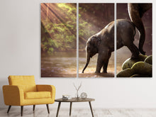 Laden Sie das Bild in den Galerie-Viewer, Leinwandbild 3-teilig Das Elefantenbaby