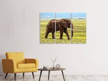 Laden Sie das Bild in den Galerie-Viewer, Leinwandbild 3-teilig Prächtiger Elefant
