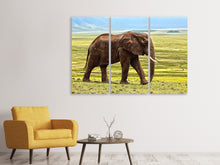 Laden Sie das Bild in den Galerie-Viewer, Leinwandbild 3-teilig Prächtiger Elefant