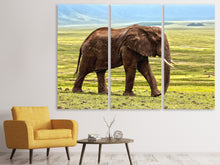Laden Sie das Bild in den Galerie-Viewer, Leinwandbild 3-teilig Prächtiger Elefant