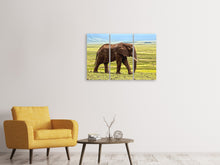 Laden Sie das Bild in den Galerie-Viewer, Leinwandbild 3-teilig Prächtiger Elefant