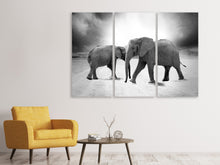 Laden Sie das Bild in den Galerie-Viewer, Leinwandbild 3-teilig 2 Elefanten sw