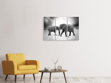 Laden Sie das Bild in den Galerie-Viewer, Leinwandbild 3-teilig 2 Elefanten sw
