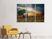 Laden Sie das Bild in den Galerie-Viewer, Leinwandbild 3-teilig Der Elefant im Sonnenuntergang