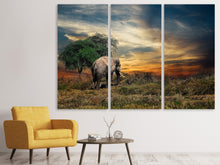 Laden Sie das Bild in den Galerie-Viewer, Leinwandbild 3-teilig Der Elefant im Sonnenuntergang