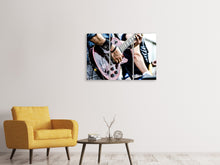 Laden Sie das Bild in den Galerie-Viewer, Leinwandbild 3-teilig Das Konzert