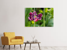 Laden Sie das Bild in den Galerie-Viewer, Leinwandbild 3-teilig Dunkle Tulpe in der Natur