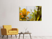 Laden Sie das Bild in den Galerie-Viewer, Leinwandbild 3-teilig Gelbe Tulpe in der Natur