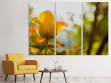 Laden Sie das Bild in den Galerie-Viewer, Leinwandbild 3-teilig Gelbe Tulpe in der Natur