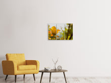 Laden Sie das Bild in den Galerie-Viewer, Leinwandbild 3-teilig Gelbe Tulpe in der Natur