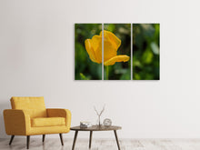 Laden Sie das Bild in den Galerie-Viewer, Leinwandbild 3-teilig Gelbe Tulpe XL