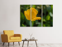 Laden Sie das Bild in den Galerie-Viewer, Leinwandbild 3-teilig Gelbe Tulpe XL