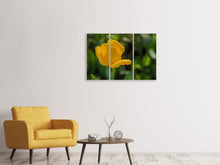 Laden Sie das Bild in den Galerie-Viewer, Leinwandbild 3-teilig Gelbe Tulpe XL