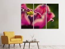Laden Sie das Bild in den Galerie-Viewer, Leinwandbild 3-teilig Makro Tulpe in rot