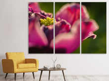 Laden Sie das Bild in den Galerie-Viewer, Leinwandbild 3-teilig Makro Tulpe in rot