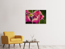 Laden Sie das Bild in den Galerie-Viewer, Leinwandbild 3-teilig Makro Tulpe in rot