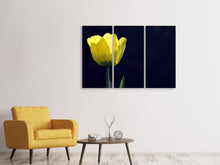 Laden Sie das Bild in den Galerie-Viewer, Leinwandbild 3-teilig Leuchtende Tulpe