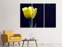 Laden Sie das Bild in den Galerie-Viewer, Leinwandbild 3-teilig Leuchtende Tulpe