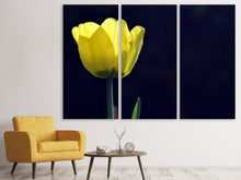 Laden Sie das Bild in den Galerie-Viewer, Leinwandbild 3-teilig Leuchtende Tulpe