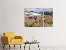 Laden Sie das Bild in den Galerie-Viewer, Leinwandbild 3-teilig Lila Krokus