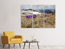 Laden Sie das Bild in den Galerie-Viewer, Leinwandbild 3-teilig Lila Krokus