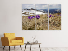 Laden Sie das Bild in den Galerie-Viewer, Leinwandbild 3-teilig Lila Krokus