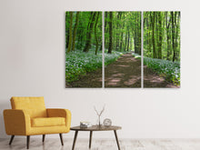 Laden Sie das Bild in den Galerie-Viewer, Leinwandbild 3-teilig Wir lieben den Sommer im Wald