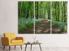 Laden Sie das Bild in den Galerie-Viewer, Leinwandbild 3-teilig Wir lieben den Sommer im Wald