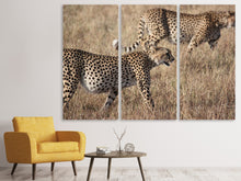 Laden Sie das Bild in den Galerie-Viewer, Leinwandbild 3-teilig 2 Leoparden
