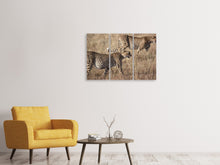 Laden Sie das Bild in den Galerie-Viewer, Leinwandbild 3-teilig 2 Leoparden