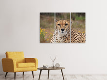 Laden Sie das Bild in den Galerie-Viewer, Leinwandbild 3-teilig Gepard XL