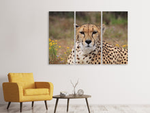 Laden Sie das Bild in den Galerie-Viewer, Leinwandbild 3-teilig Gepard XL