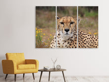 Laden Sie das Bild in den Galerie-Viewer, Leinwandbild 3-teilig Gepard XL