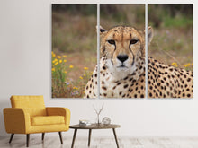 Laden Sie das Bild in den Galerie-Viewer, Leinwandbild 3-teilig Gepard XL
