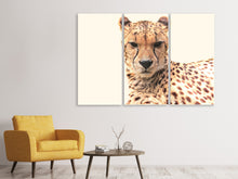 Laden Sie das Bild in den Galerie-Viewer, Leinwandbild 3-teilig Gepard in der Sonne