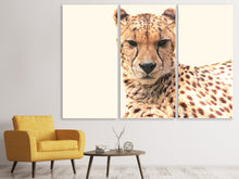 Laden Sie das Bild in den Galerie-Viewer, Leinwandbild 3-teilig Gepard in der Sonne