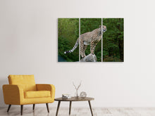 Laden Sie das Bild in den Galerie-Viewer, Leinwandbild 3-teilig Gepard auf dem Sprung