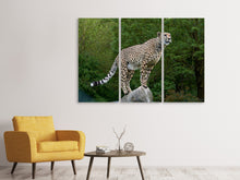 Laden Sie das Bild in den Galerie-Viewer, Leinwandbild 3-teilig Gepard auf dem Sprung