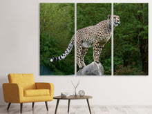 Laden Sie das Bild in den Galerie-Viewer, Leinwandbild 3-teilig Gepard auf dem Sprung