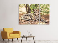 Laden Sie das Bild in den Galerie-Viewer, Leinwandbild 3-teilig Sonnender Gepard