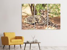 Laden Sie das Bild in den Galerie-Viewer, Leinwandbild 3-teilig Sonnender Gepard