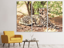 Laden Sie das Bild in den Galerie-Viewer, Leinwandbild 3-teilig Sonnender Gepard