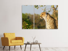 Laden Sie das Bild in den Galerie-Viewer, Leinwandbild 3-teilig Gepard in der Natur